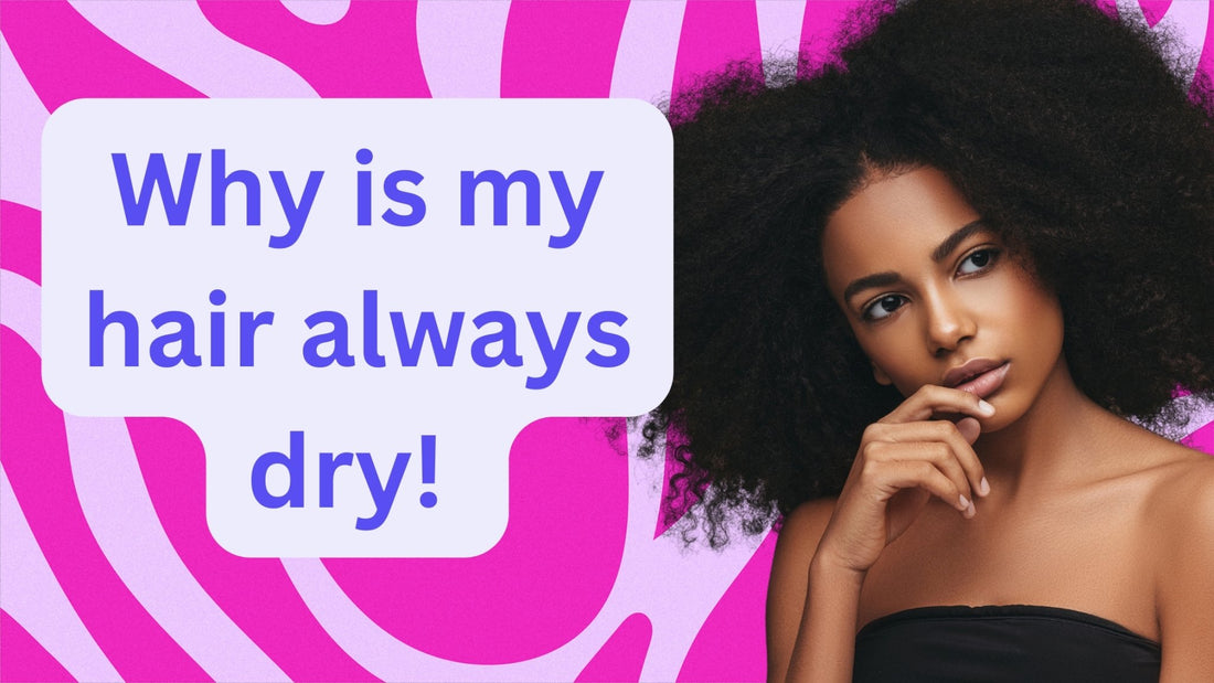 Unveiling the Causes of Dry Natural Hair! - HairNimation