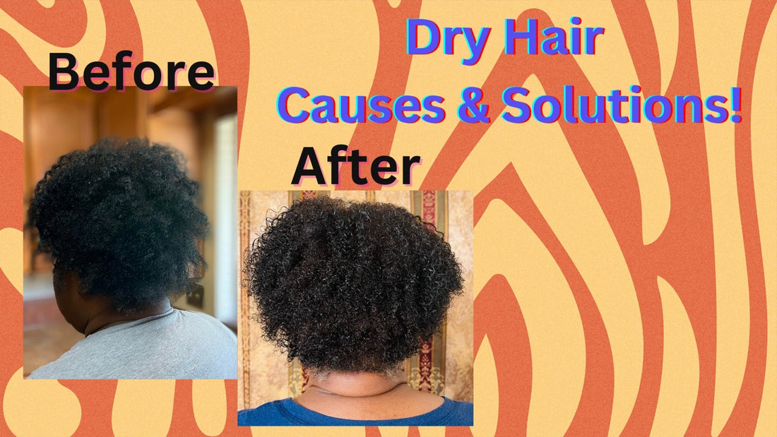 Dry Hair Causes & Solutions - HairNimation